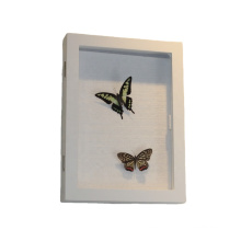 hot selling high quality 8x10 Front open Display Butterflies Collection White Box frame for HOME